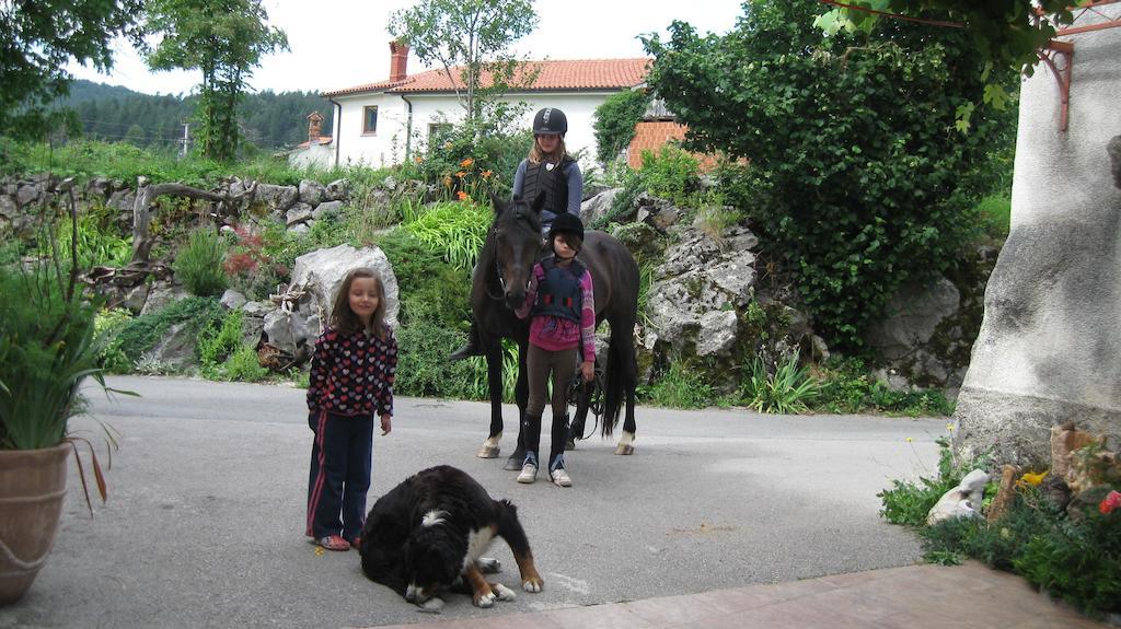 הוילה Vremski Britof Tourist Farm Dujceva Domacija מראה חיצוני תמונה