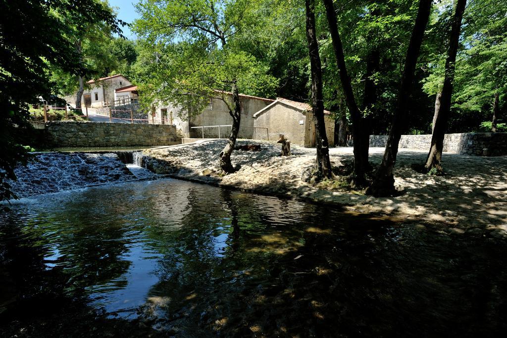 הוילה Vremski Britof Tourist Farm Dujceva Domacija מראה חיצוני תמונה